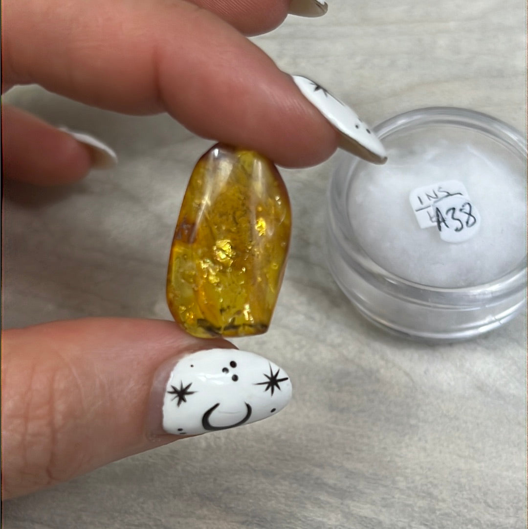 Amber Insect Specimen