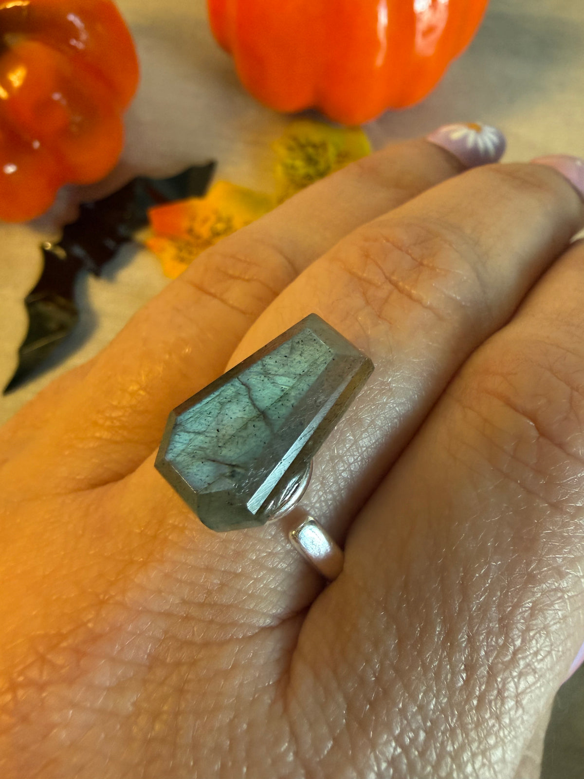 Handmade Lab Coffin Adjustable 925 Silver Ring