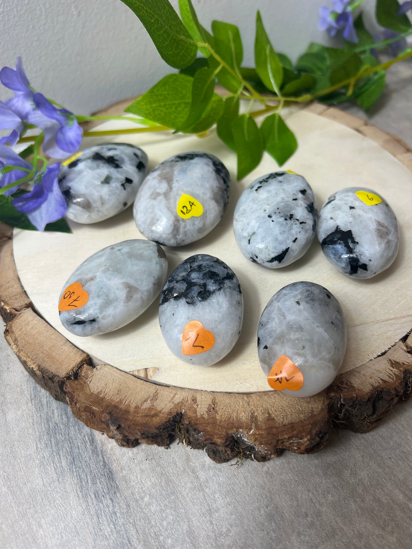 Rainbow Moonstone Palm