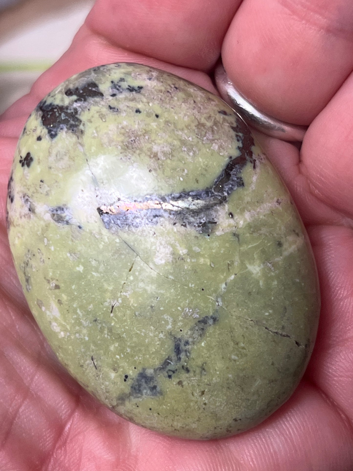 Serpentine with Pyrite Palm