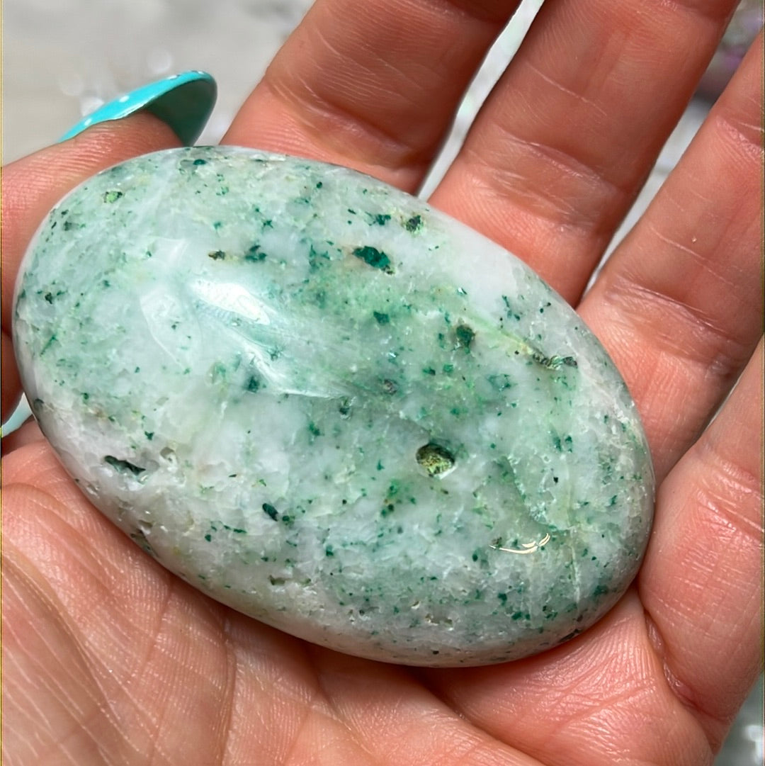 Phoenix Pine Fynechenite Palm