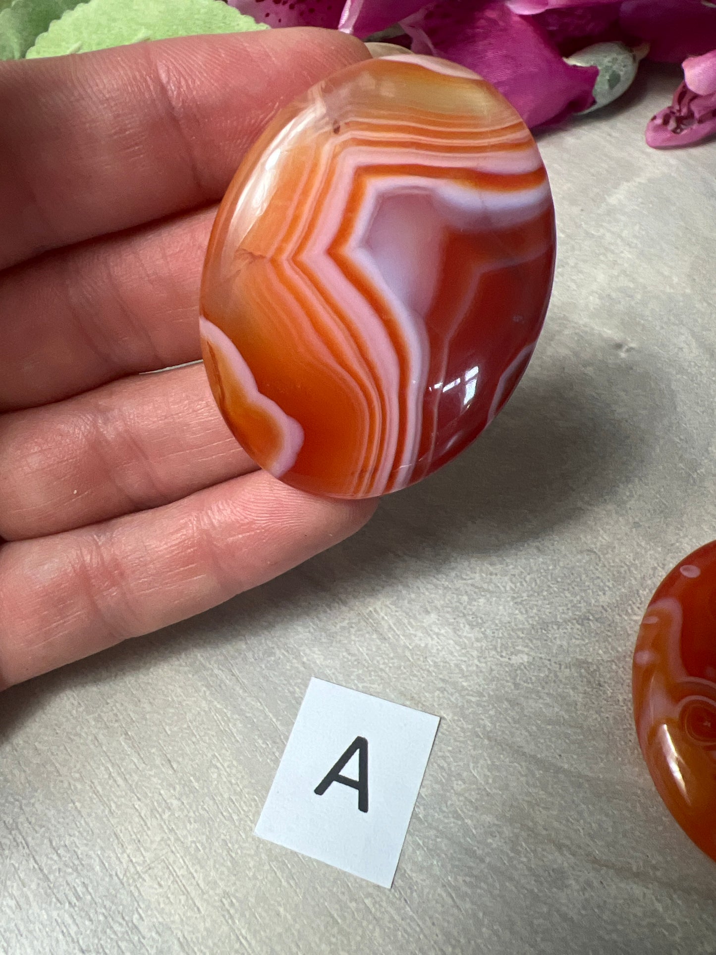 Carnelian Palm