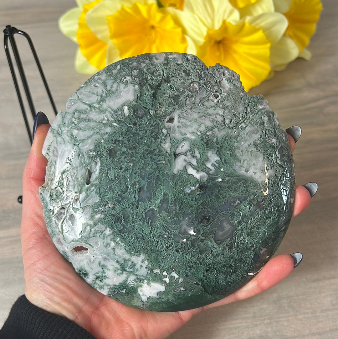 Moss Agate Druzy Disc Cookie