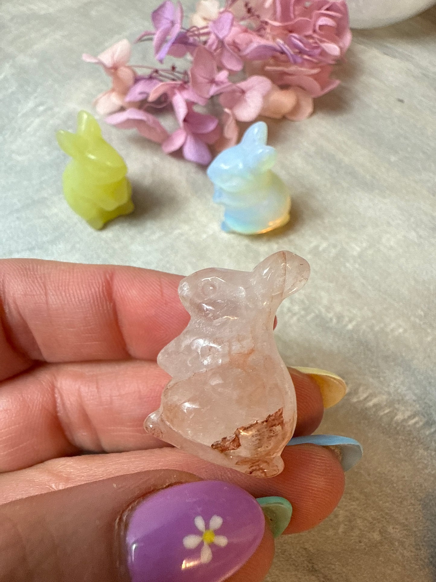 Sitting Rabbit Hare Bunny