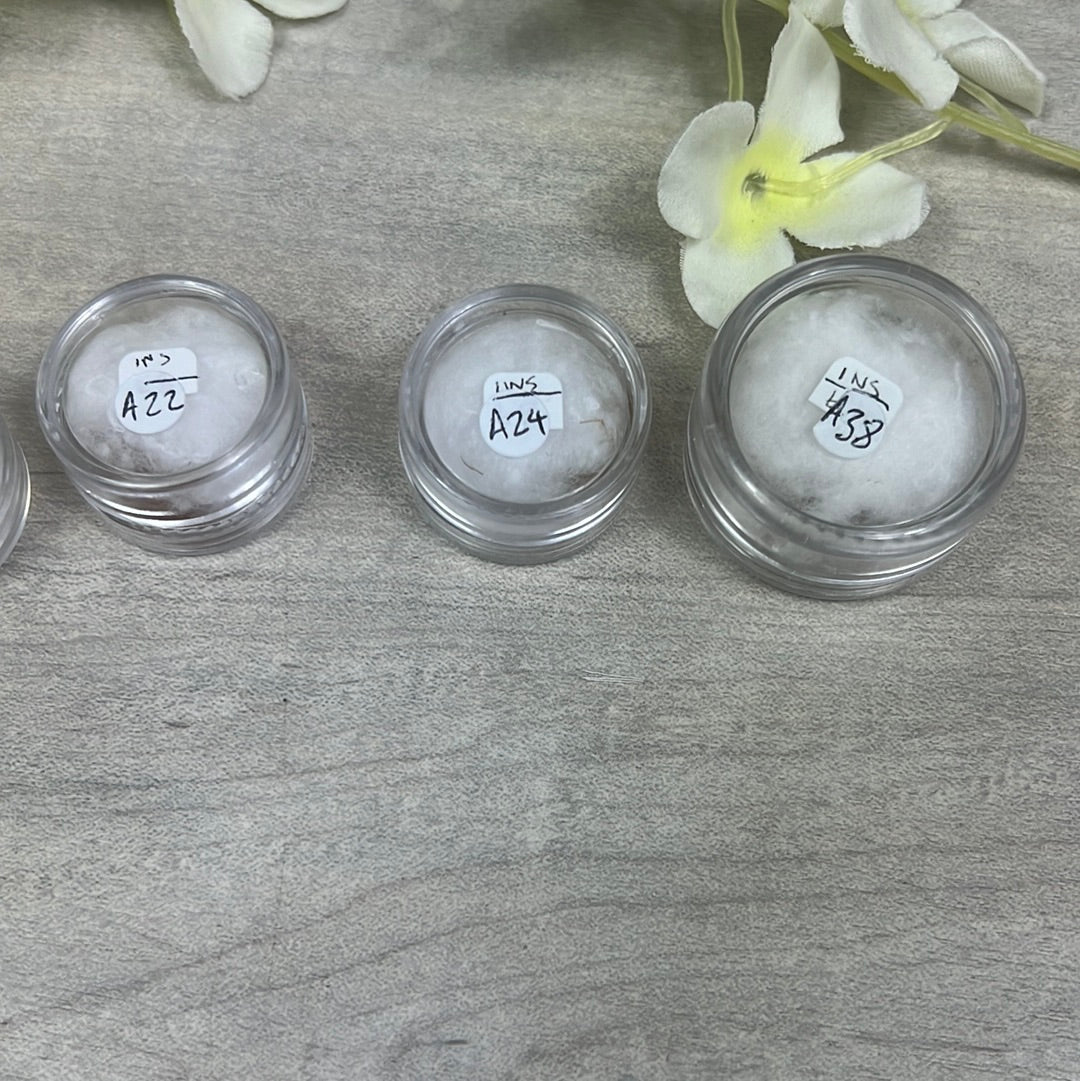 Amber Insect Specimen