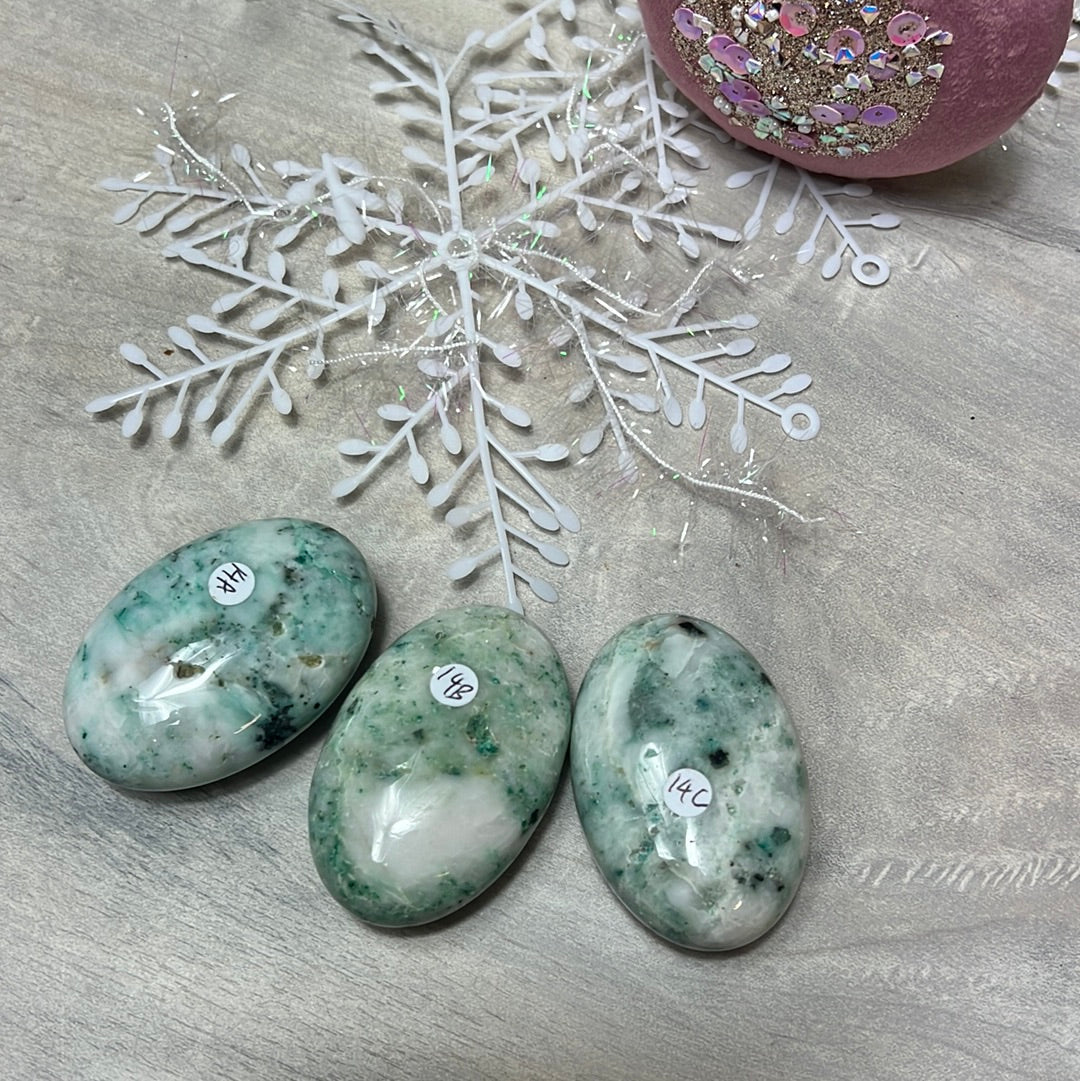 Phoenix Pine Fynechenite Palm