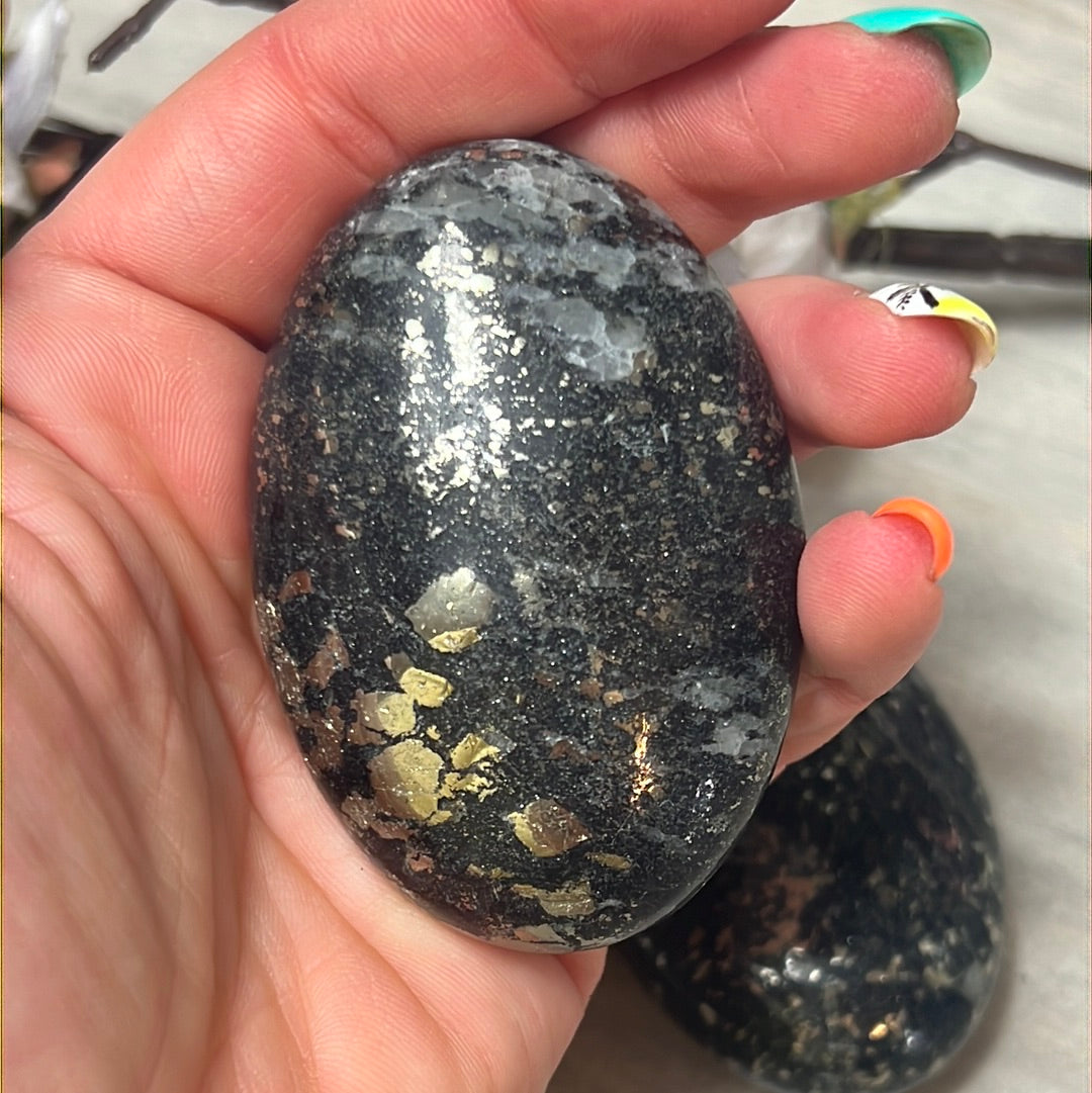 African Pyrite Palm - fools gold