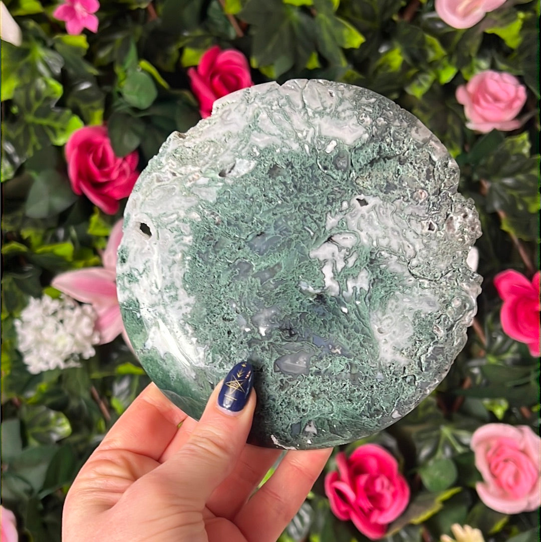 Moss Agate Druzy Disc Cookie