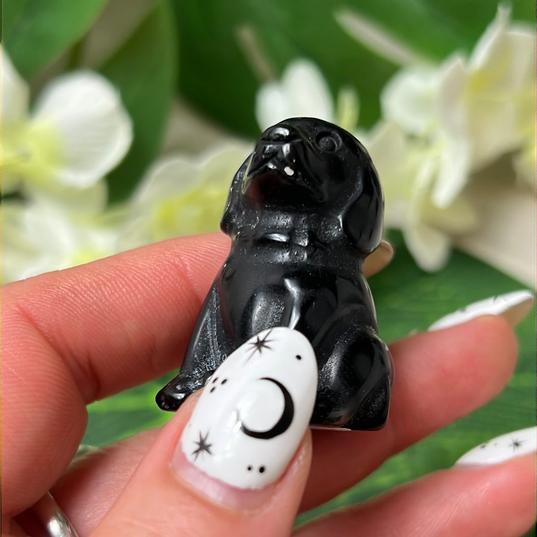 Black Obsidian Dog