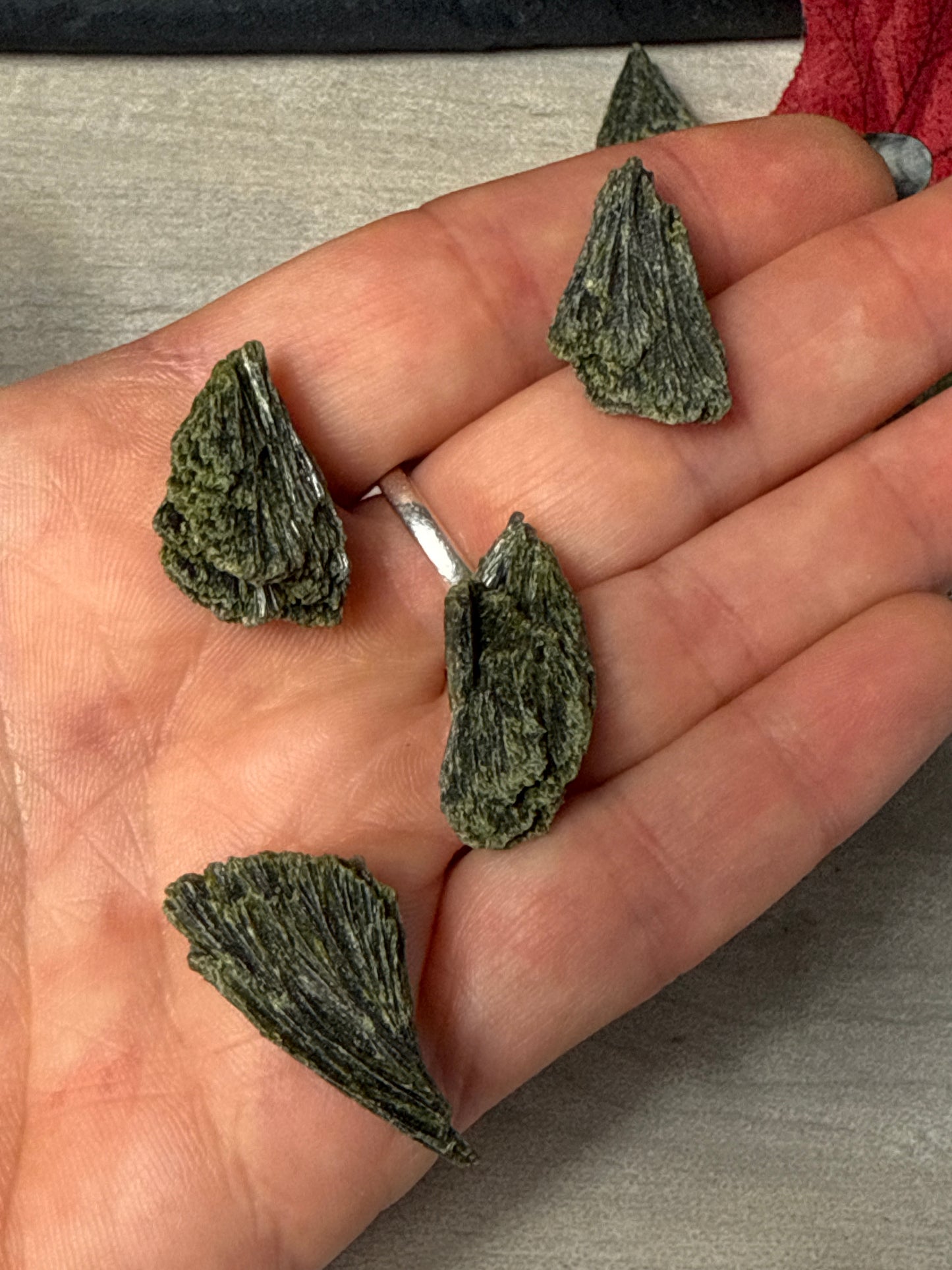 Small Epidote Fan Specimen