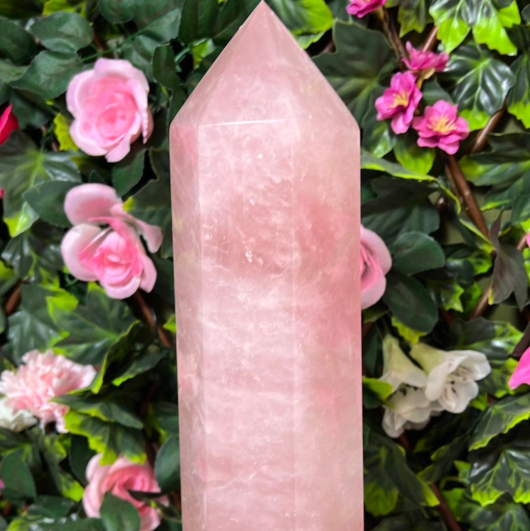 Rose Quartz XL Tower Point 5.6KG