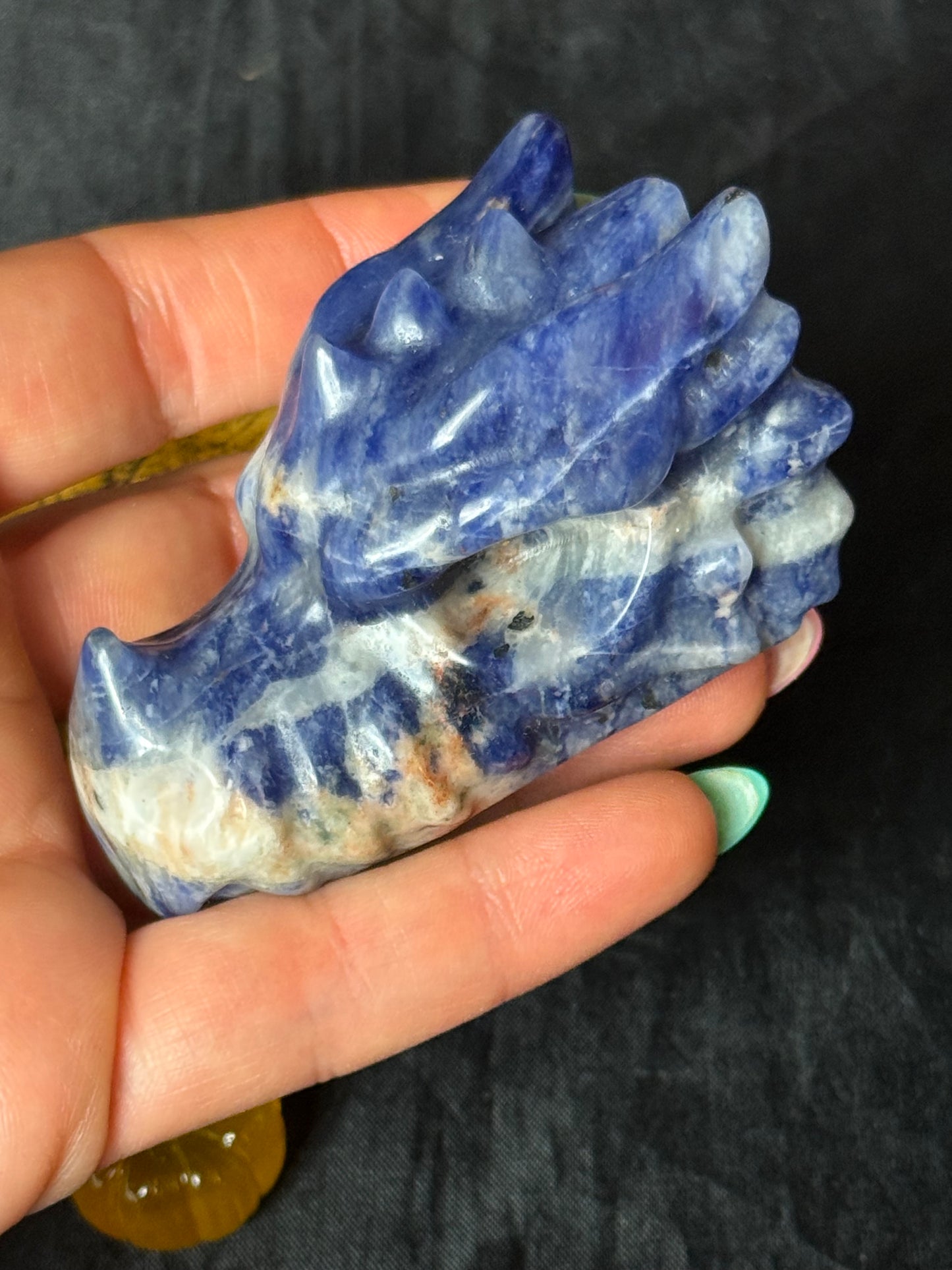 Sodalite Dragon