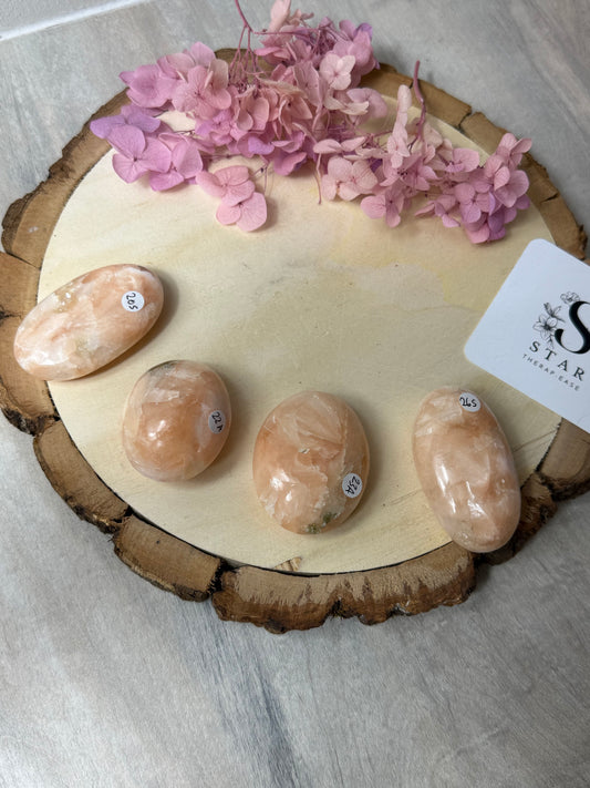 Stillbite Palm Stone - Rare