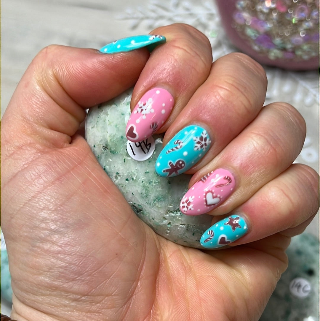 Phoenix Pine Fynechenite Palm