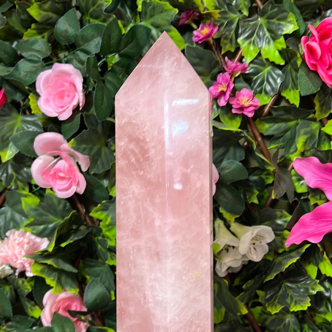 Rose Quartz XL Tower Point 5.6KG