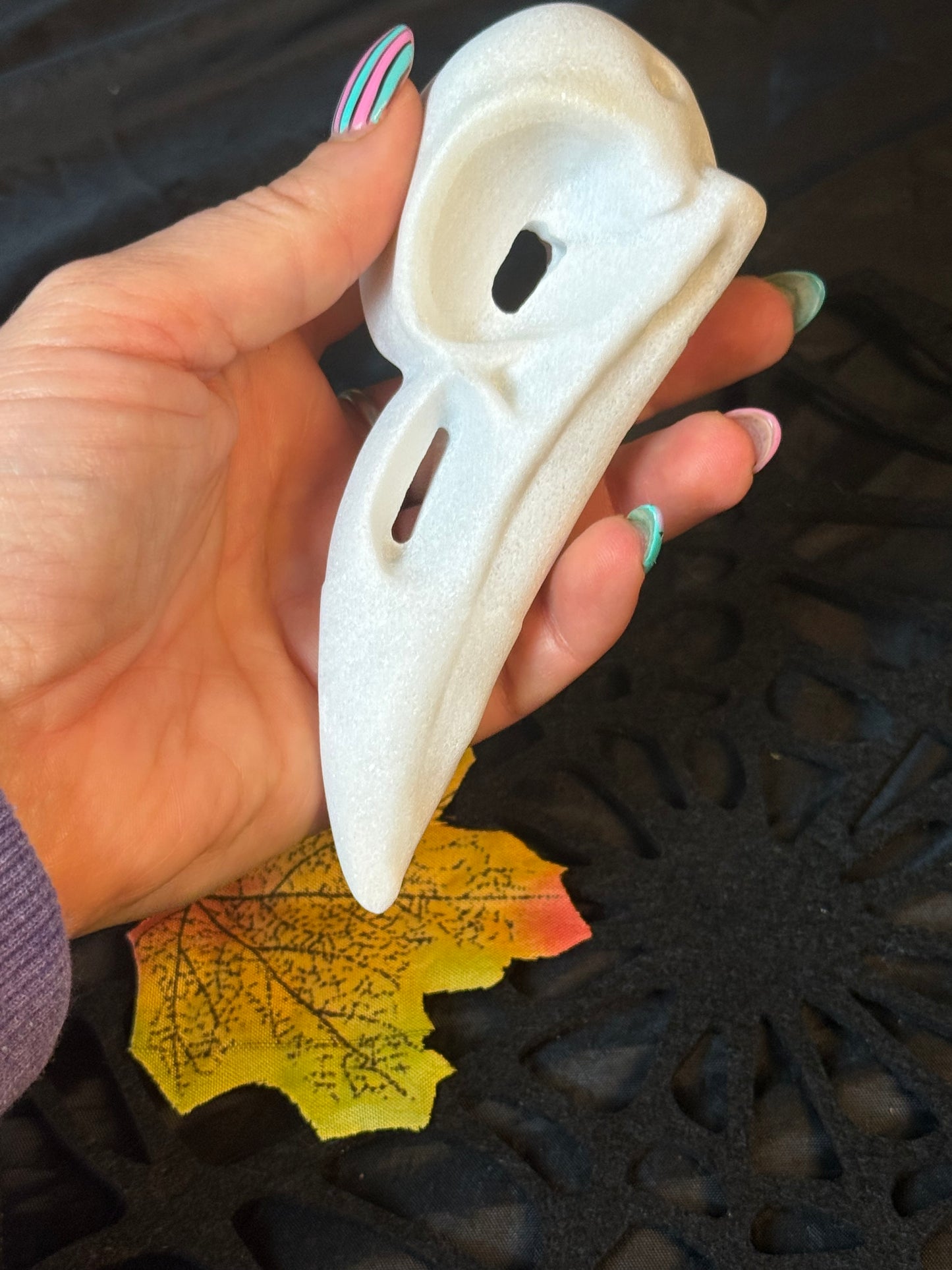 Large Raven Crow Skull