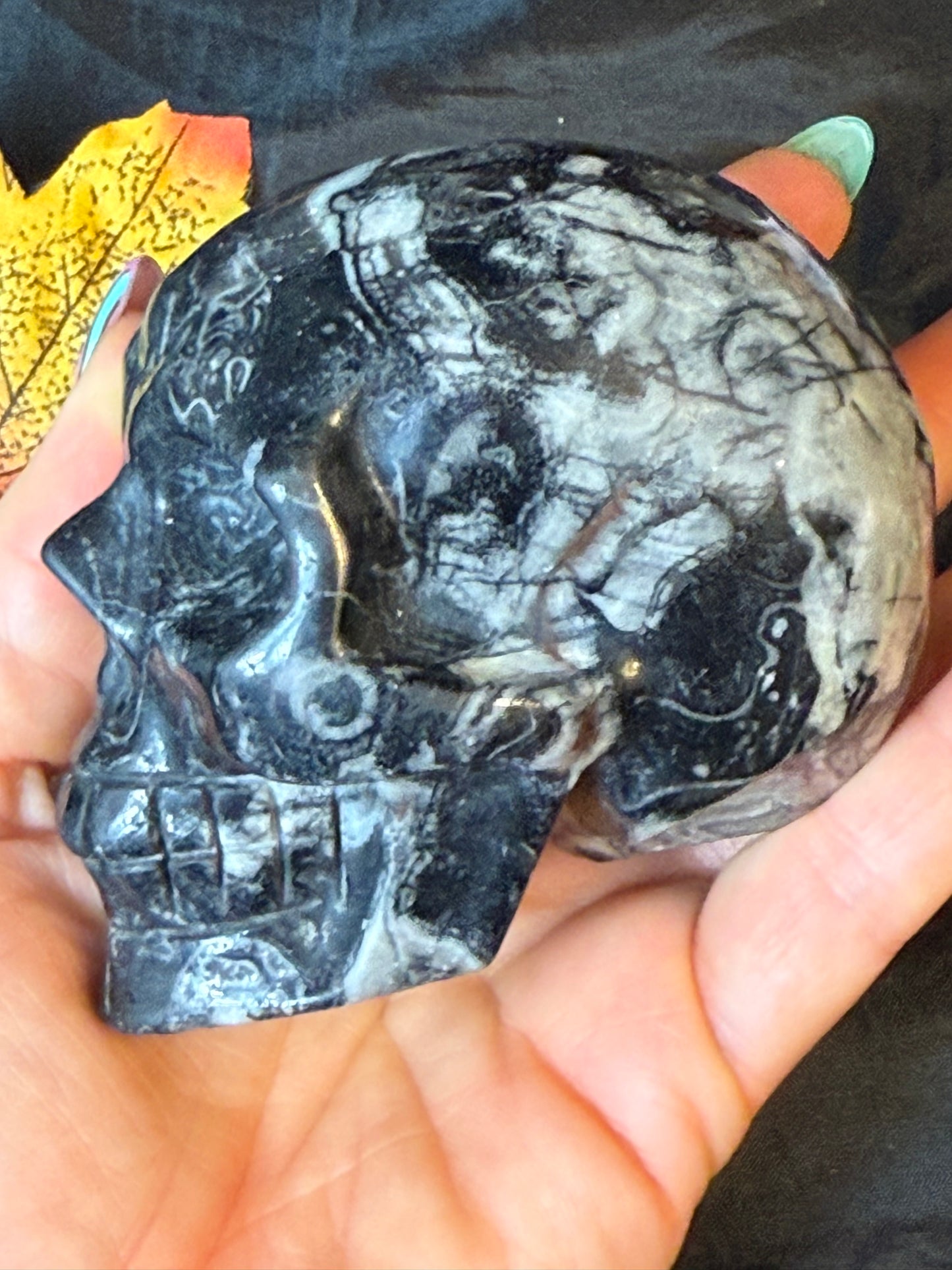 Black Shell Stone Skull