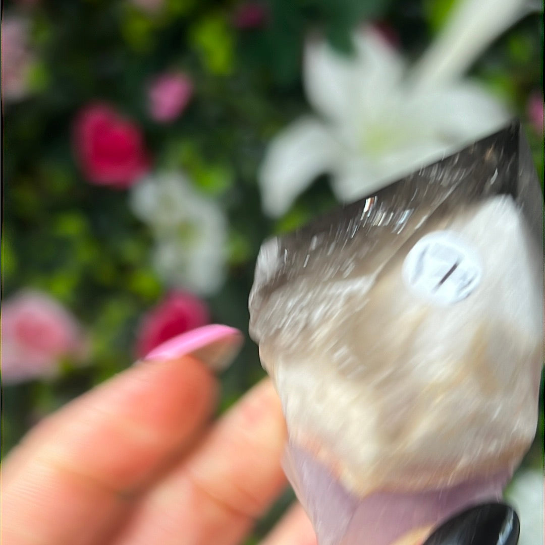 Root of Transformation