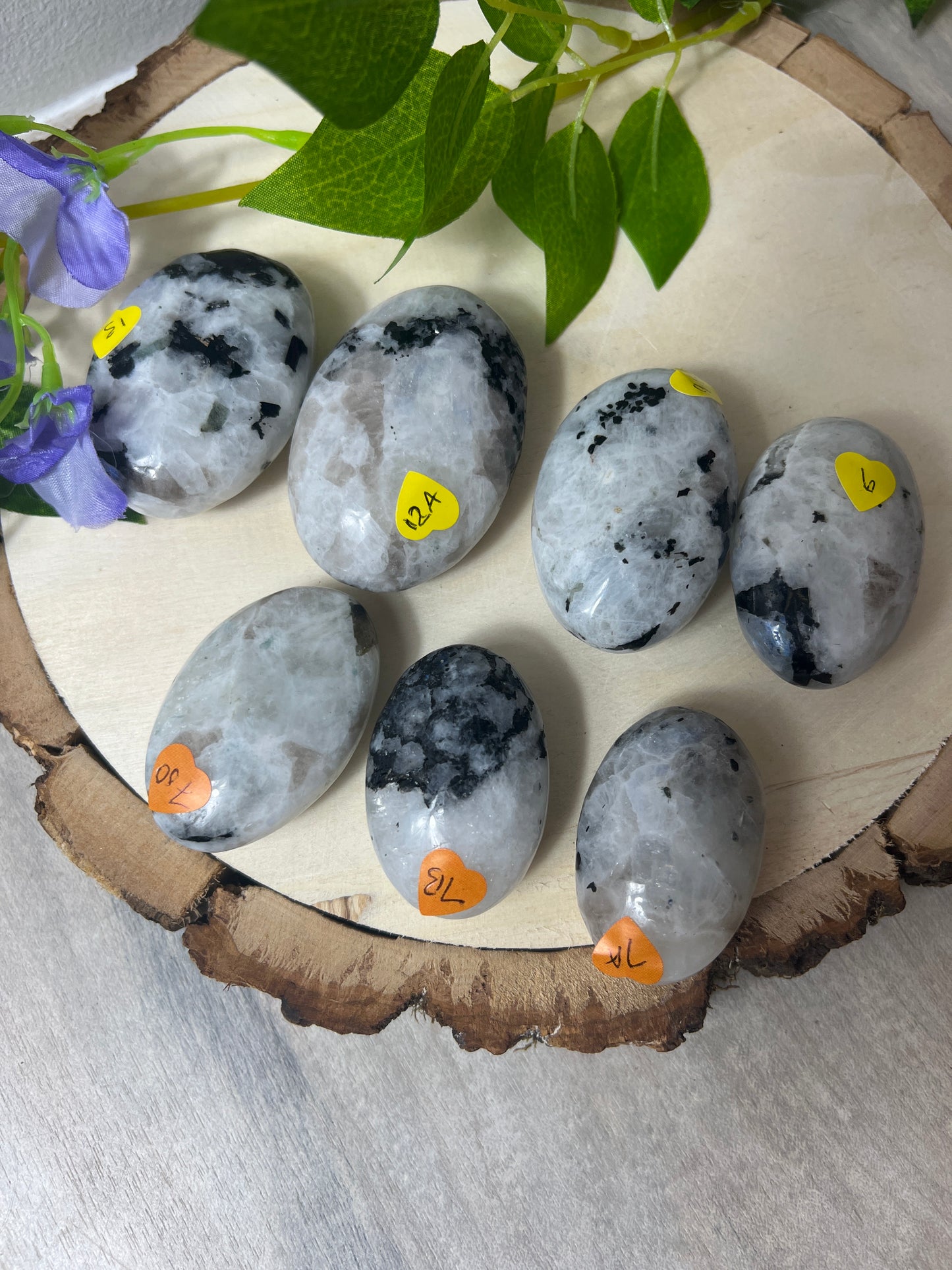 Rainbow Moonstone Palm