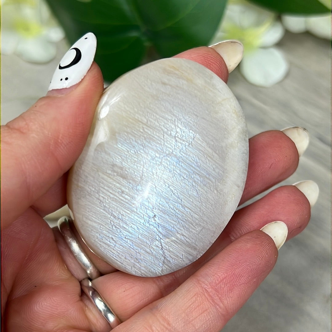 Moonstone Palm - AA Grade