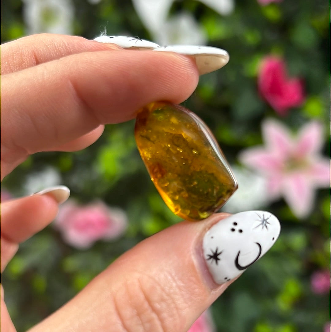 Amber Insect Specimen