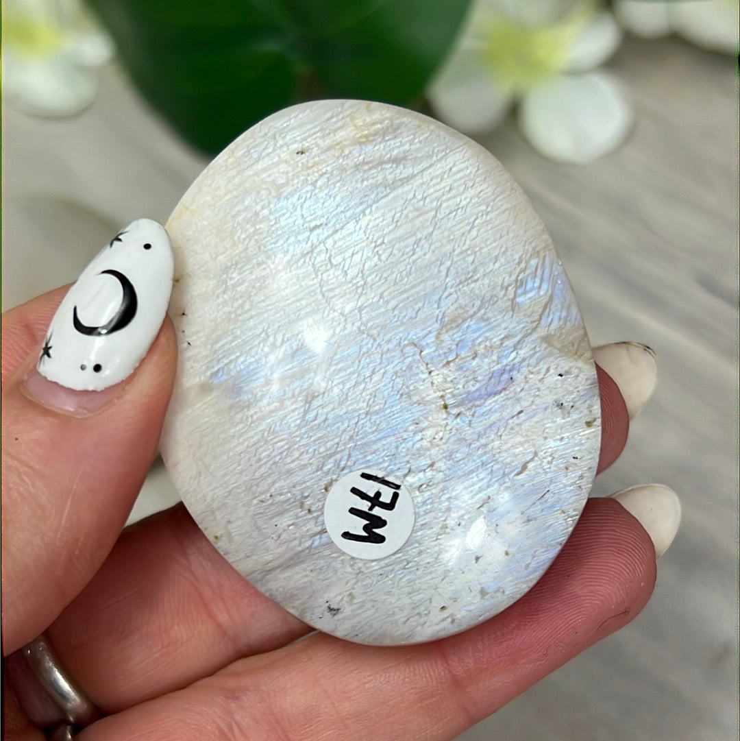 Moonstone Palm - AA Grade