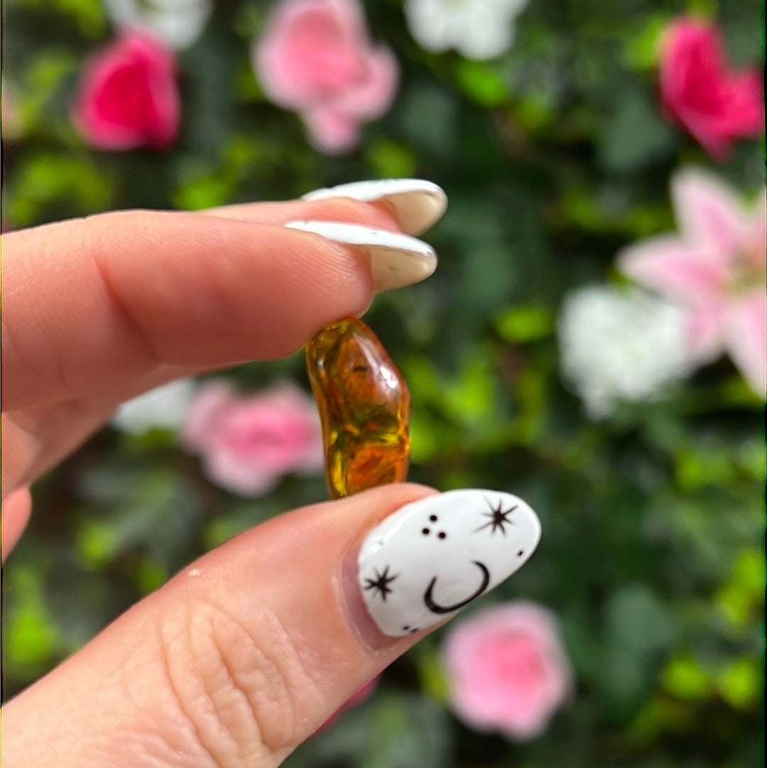 Amber Insect Specimen