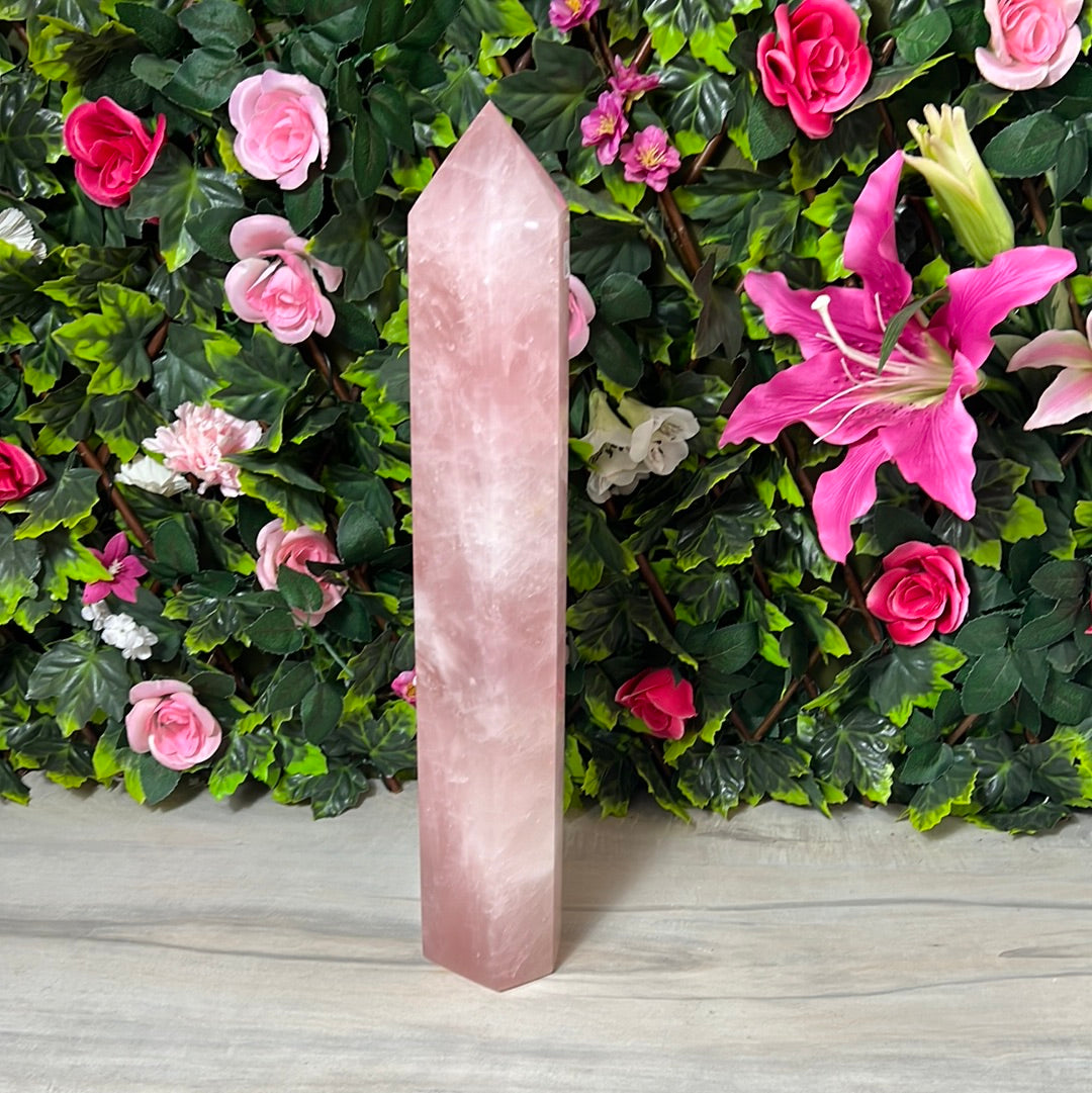 Rose Quartz XL Tower Point 5.6KG