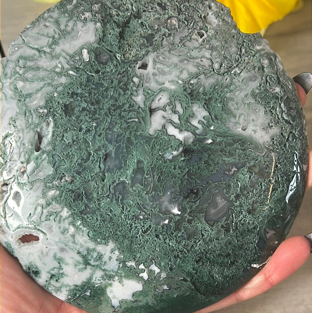 Moss Agate Druzy Disc Cookie