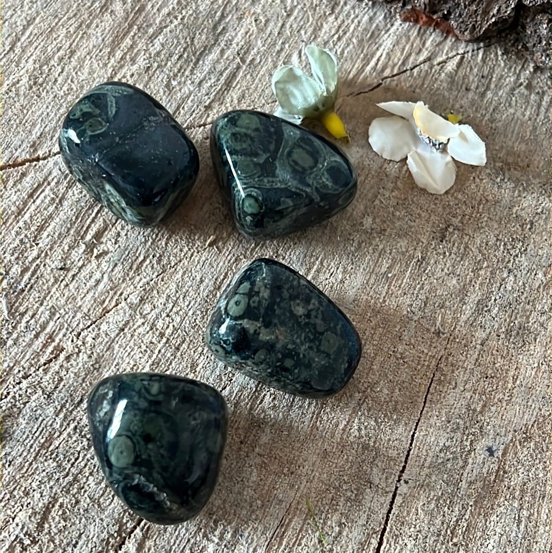 Kambaba Large polished tumble tumblestone