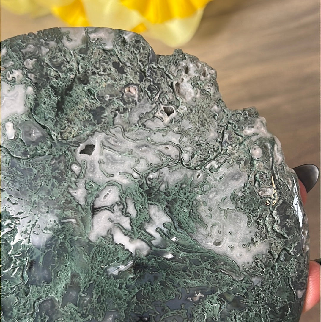 Moss Agate Druzy Disc Cookie