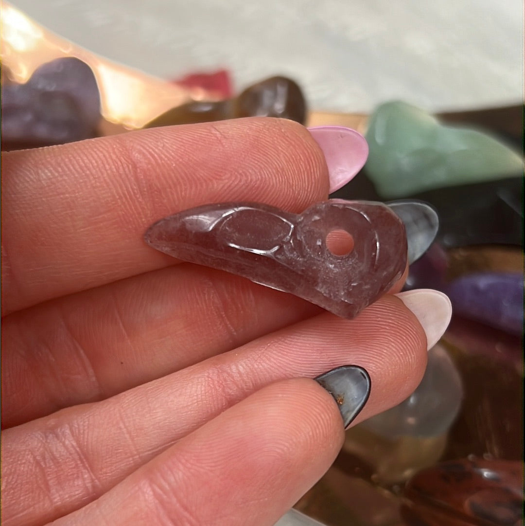 Mystery Baby Skull - Bird Crow Raven