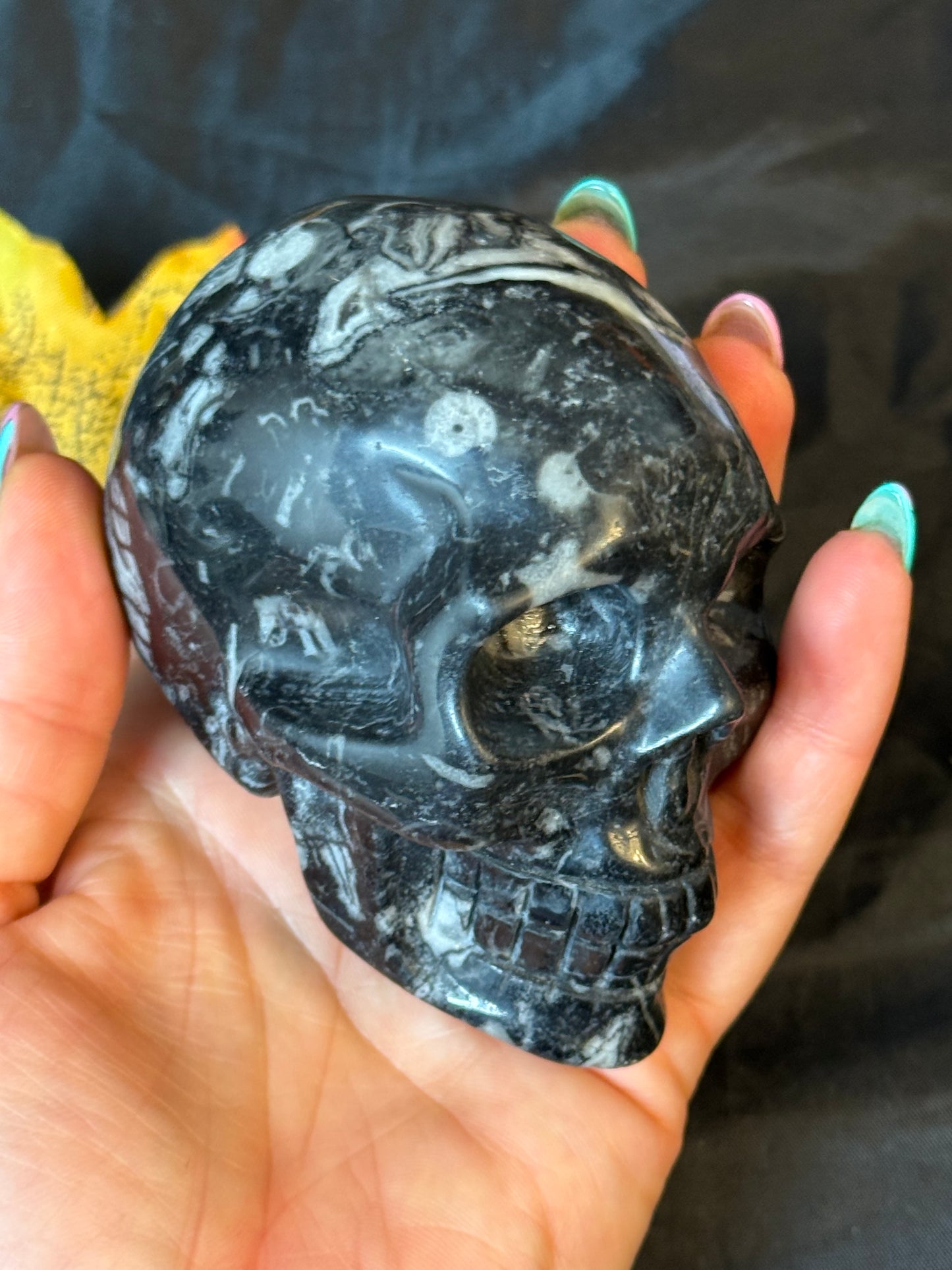Black Shell Stone Skull
