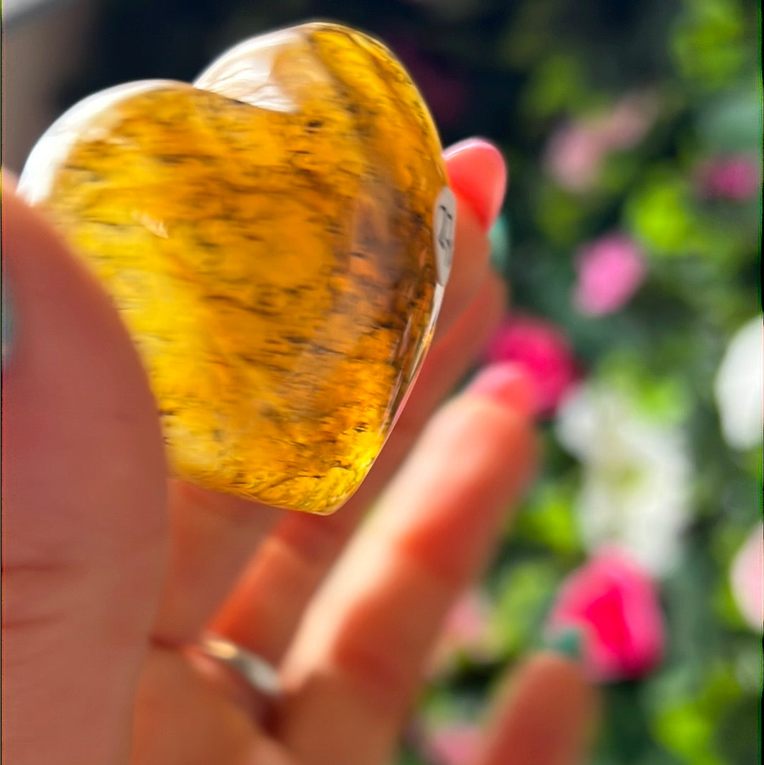 Golden Healer Dendritic Heart