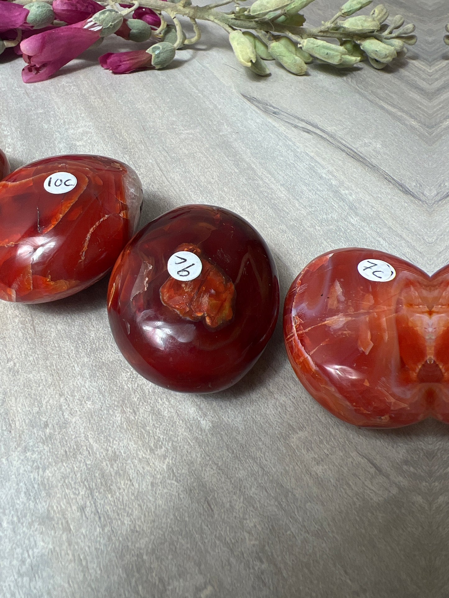 Stunning Large Carnelian Palm