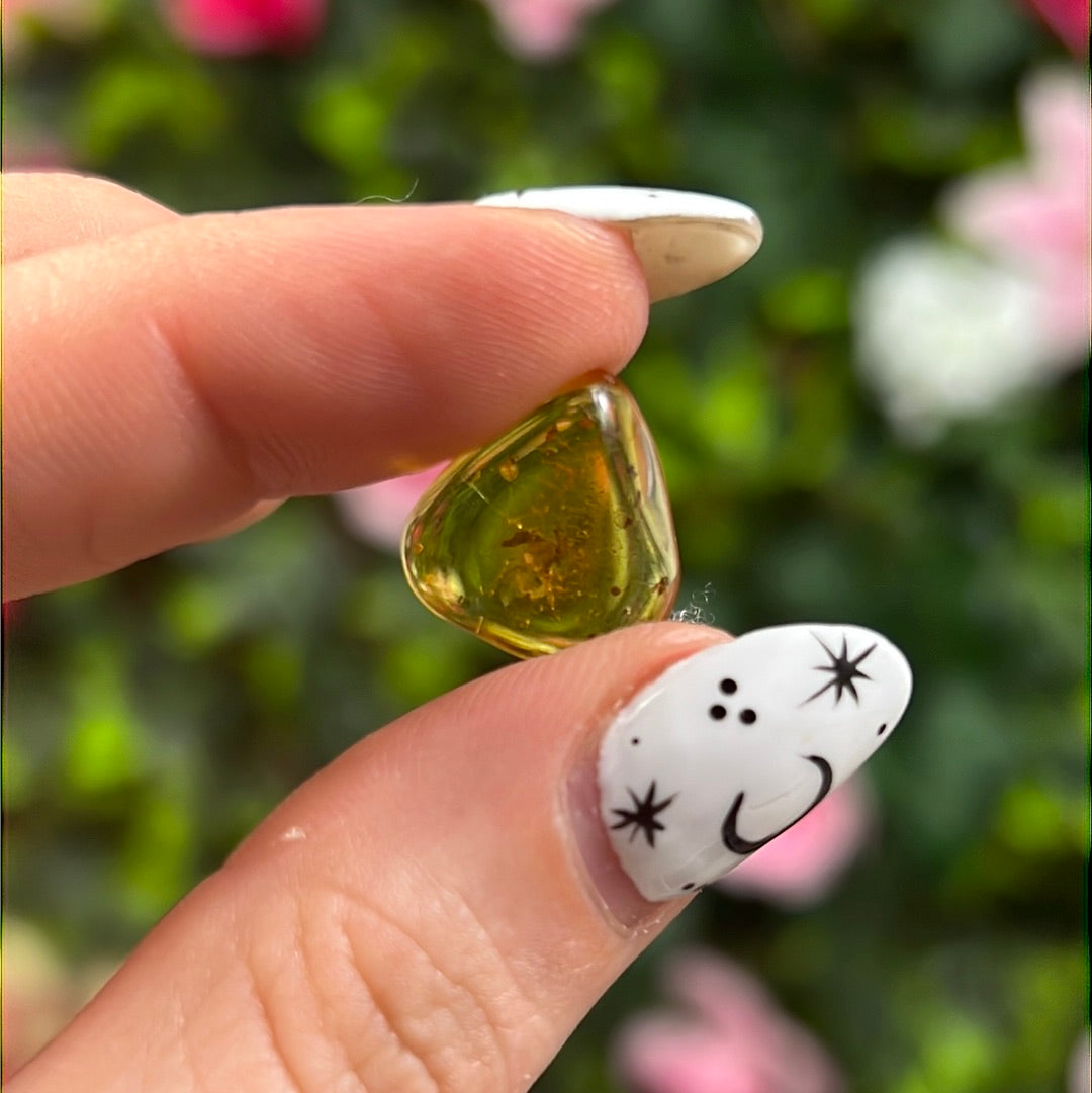 Amber Insect Specimen