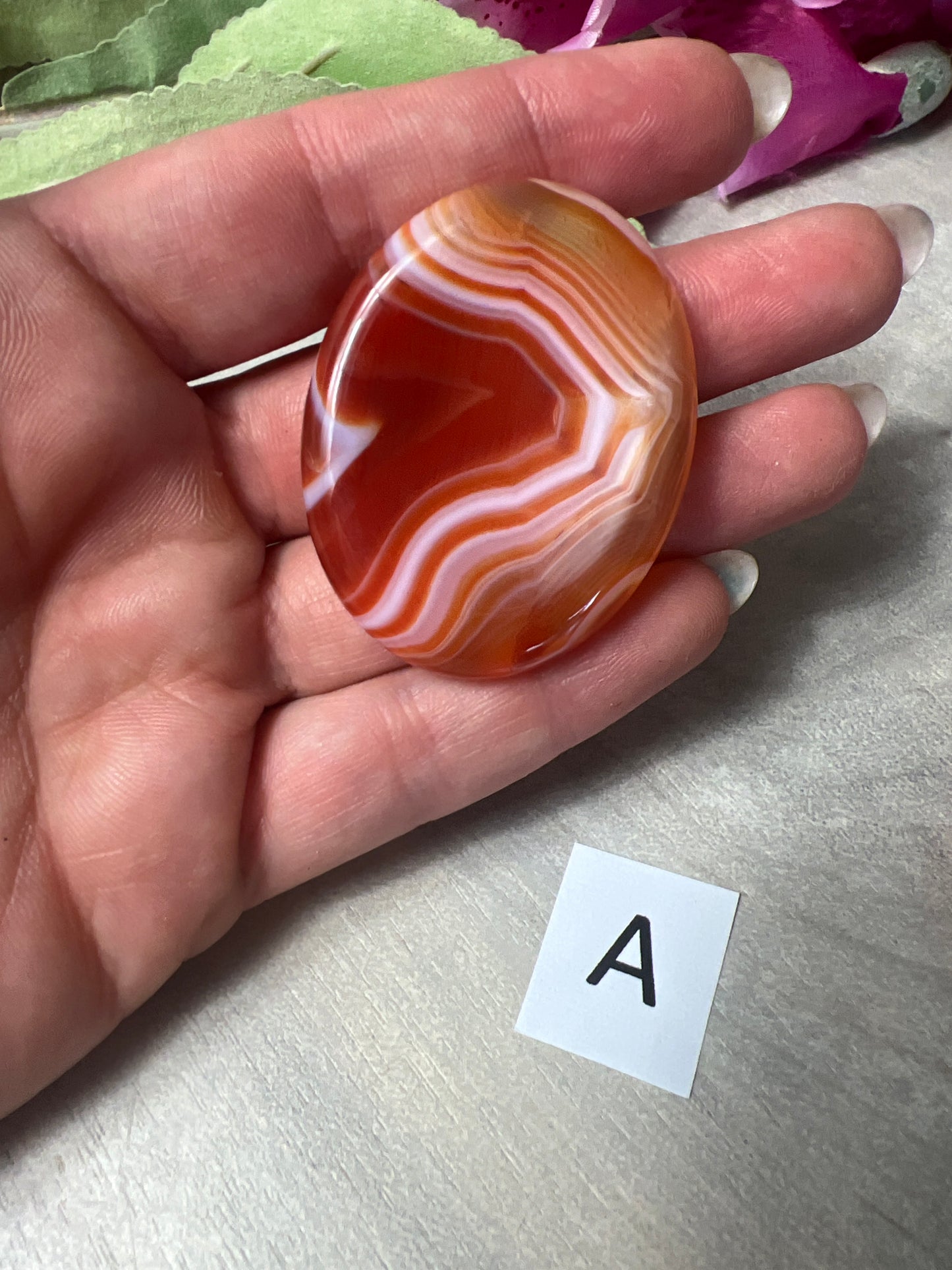 Carnelian Palm