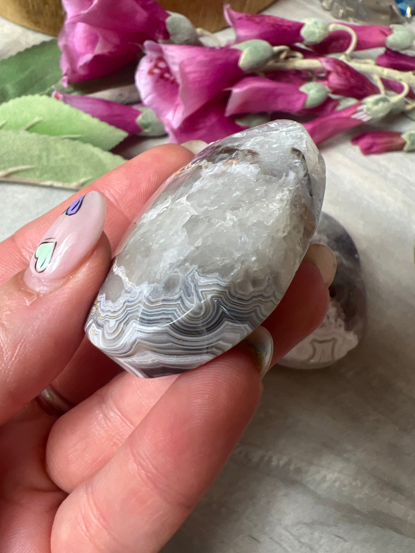 Mexican Crazy Agate Palm