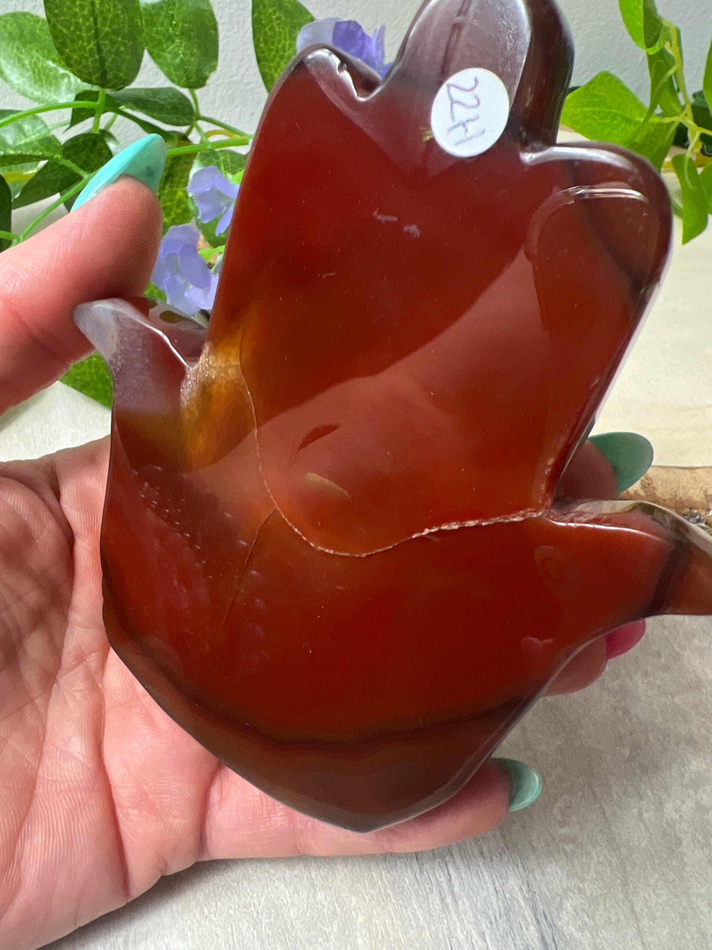 Carnelian Druzy Hamsa