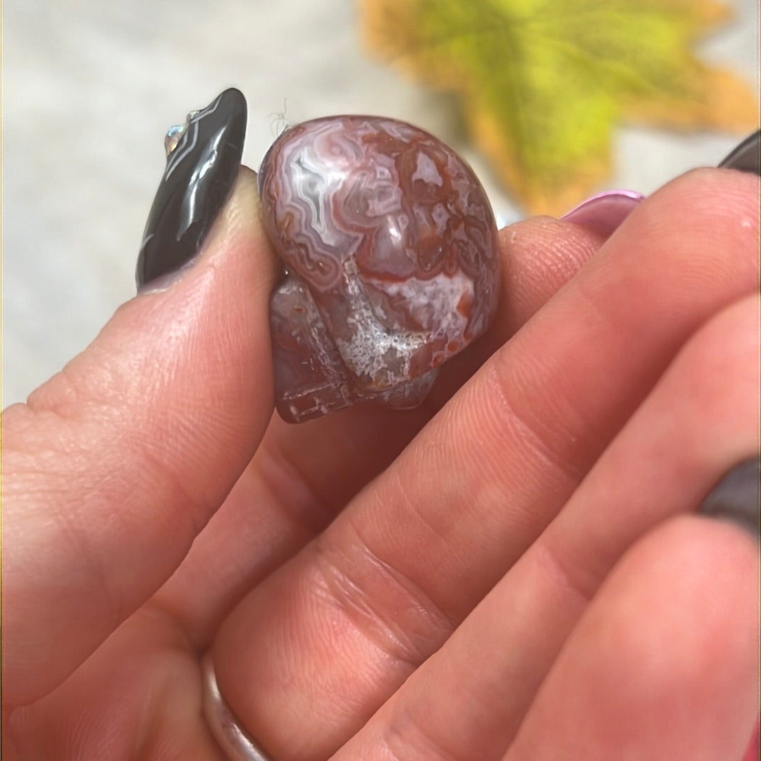 Mini Skull - Mexican Agate