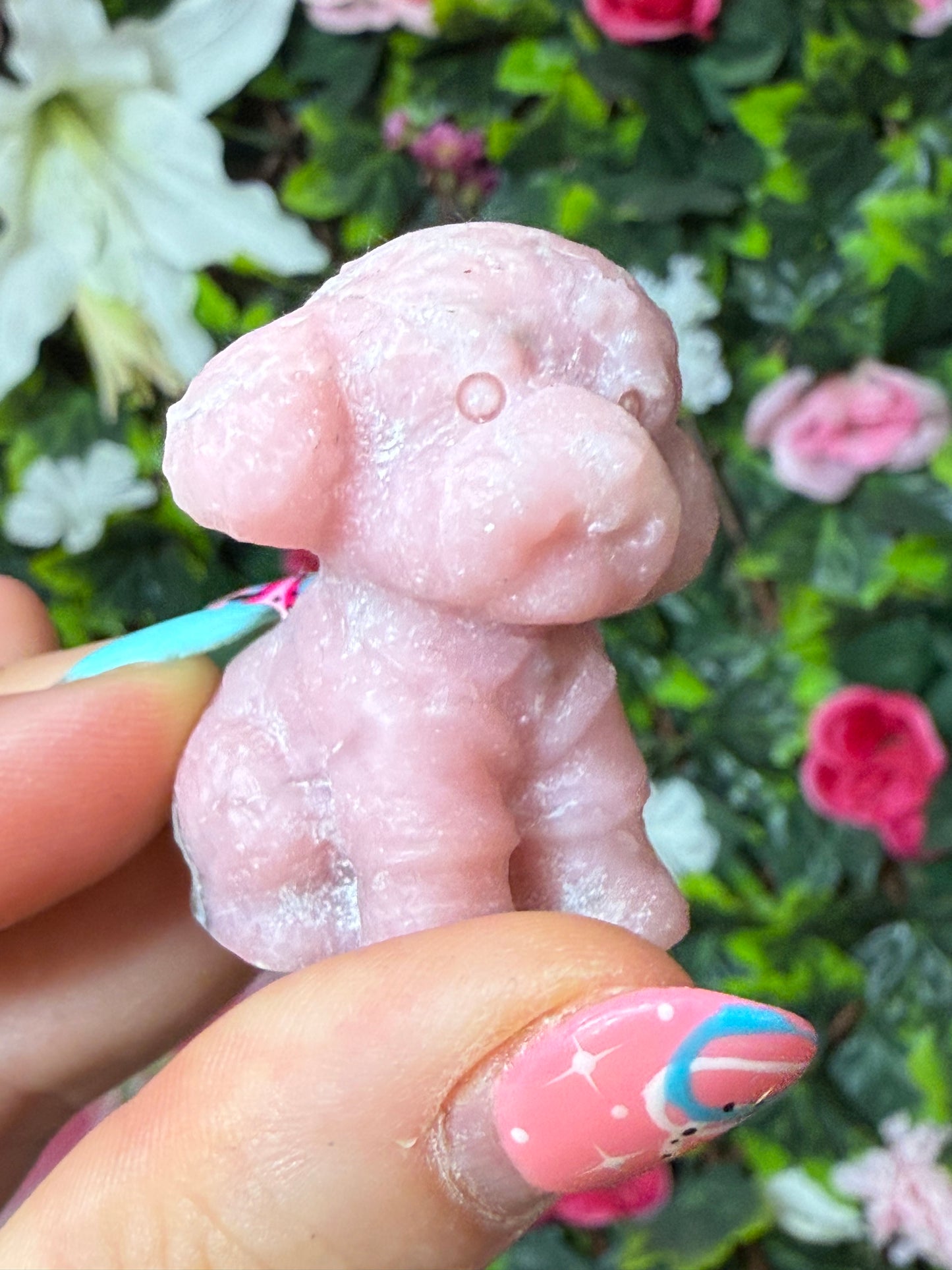 Teddy Dog Carving