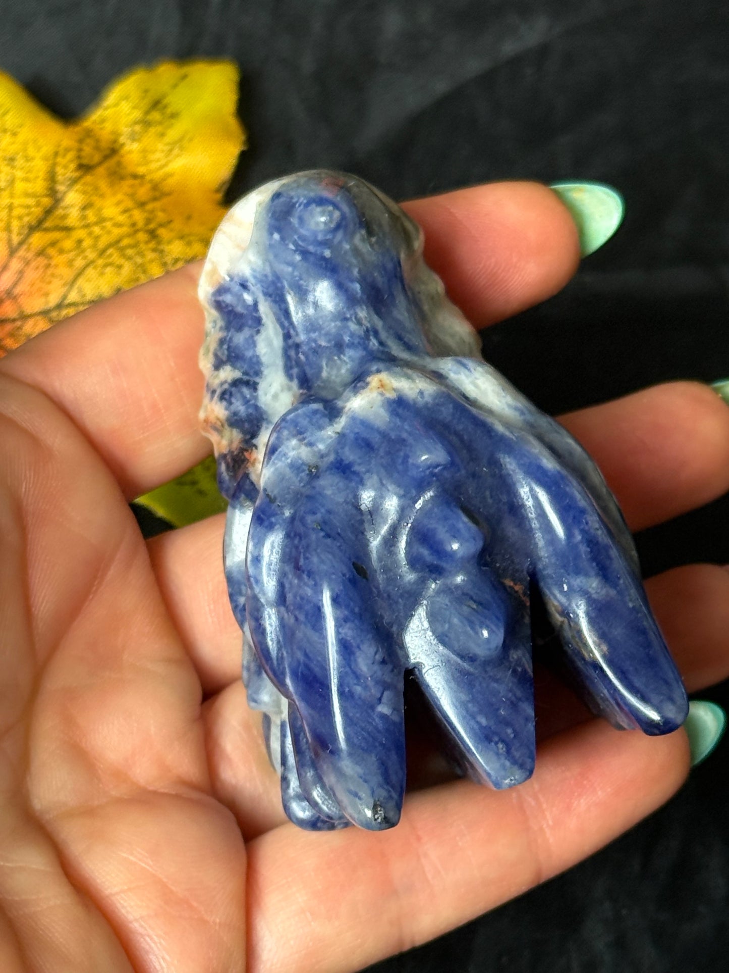 Sodalite Dragon