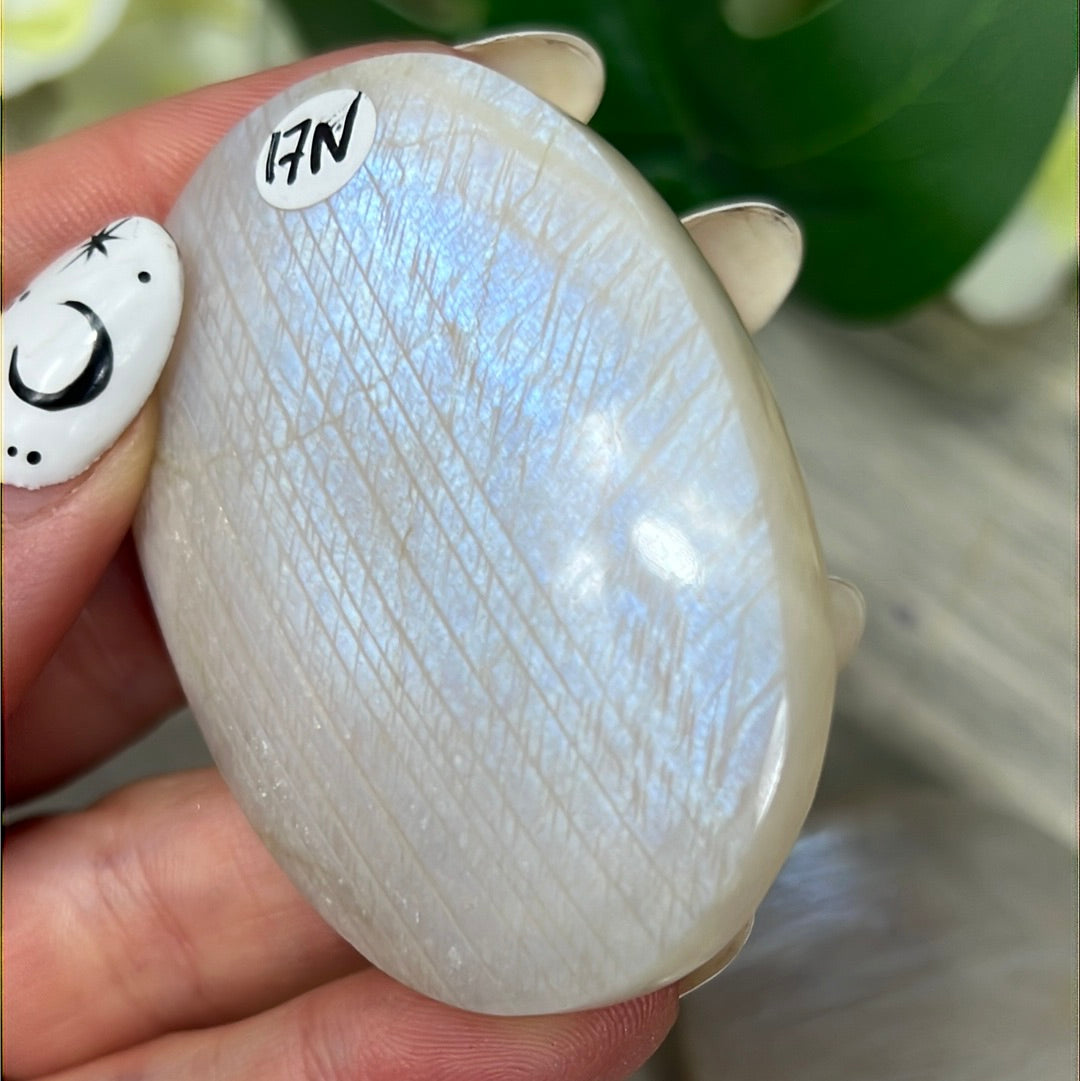 Moonstone Palm - AA Grade