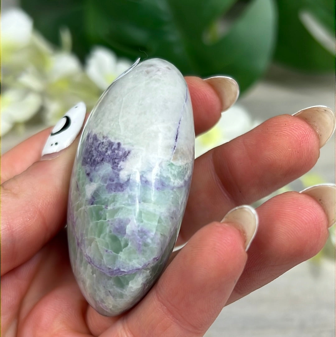 Bolivianite Palm