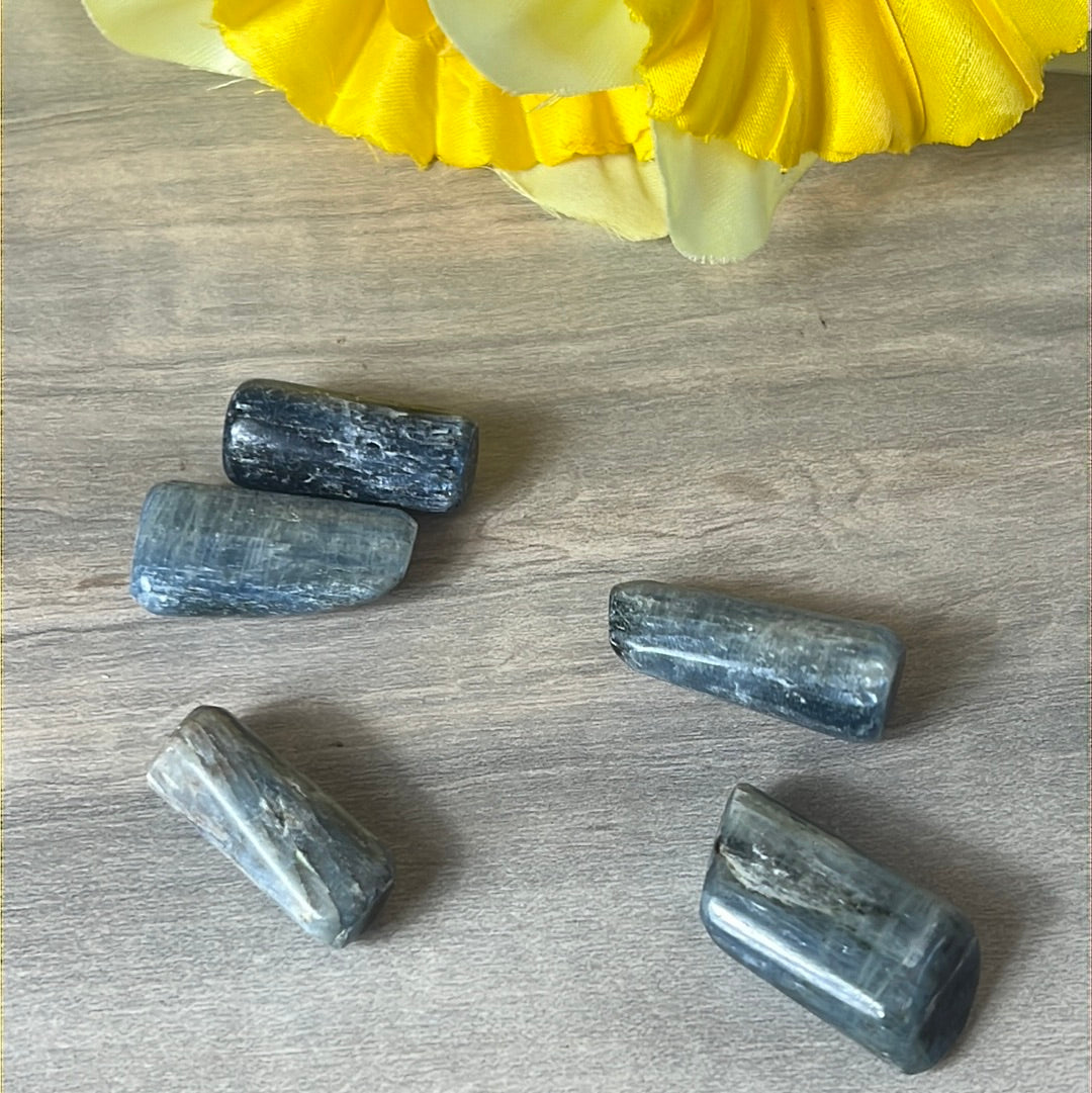 Kyanite Polished Tumble Tumblestone - AA Grade