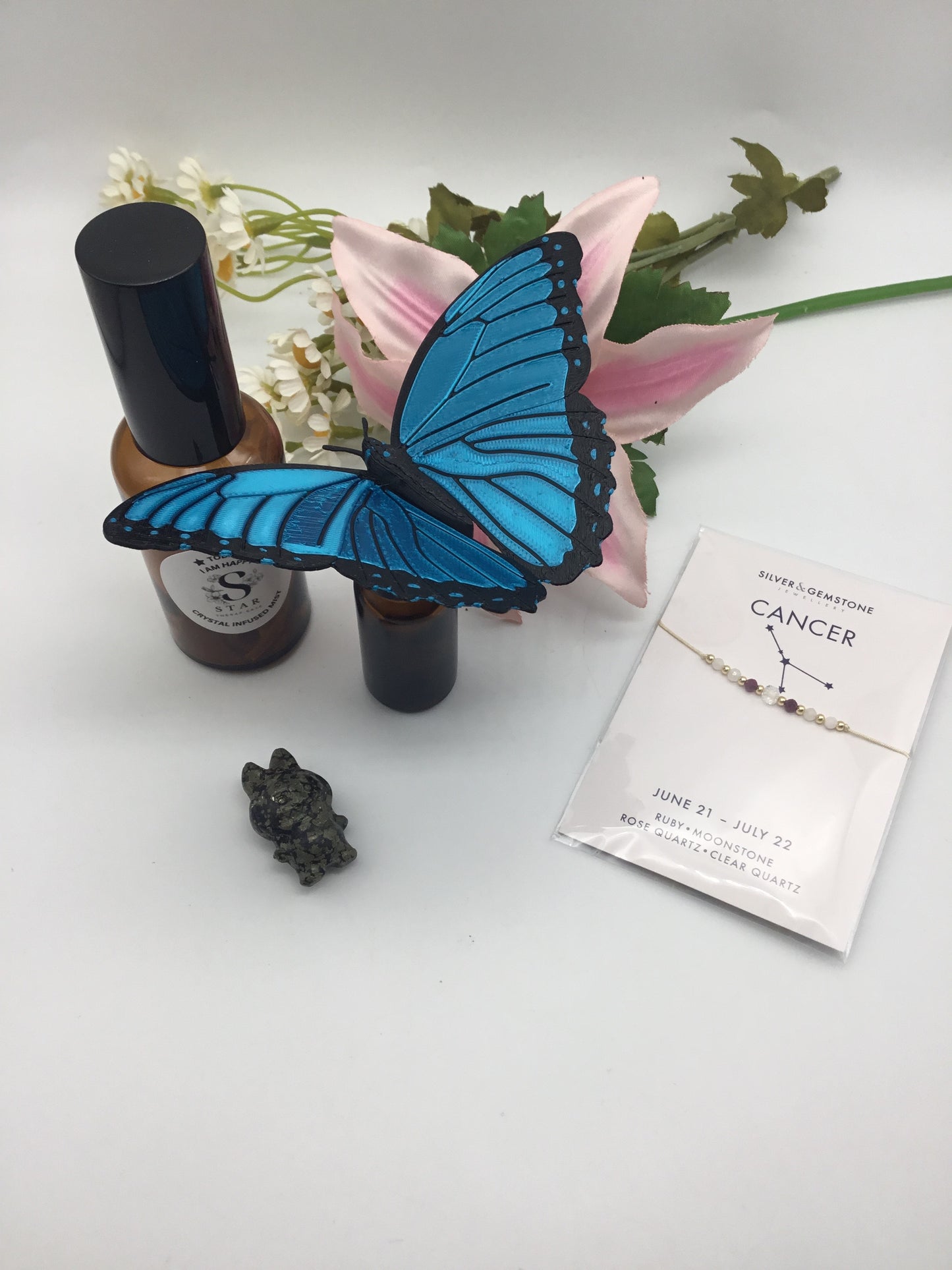 Liannemoonstonecorbs13