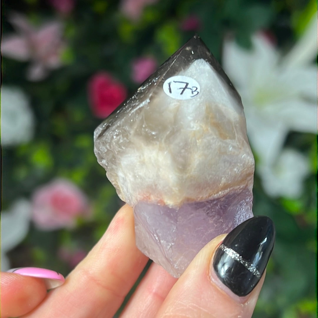 Root of Transformation