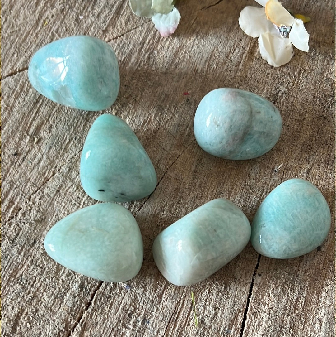 A Amazonite large polished tumble tumblestone