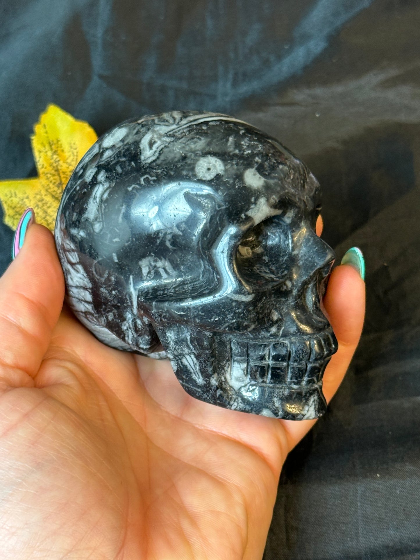 Black Shell Stone Skull