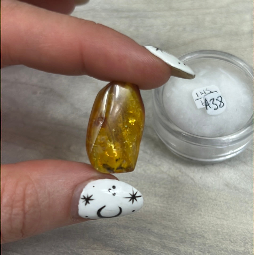 Amber Insect Specimen